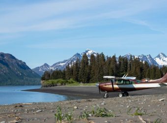 Bushplane