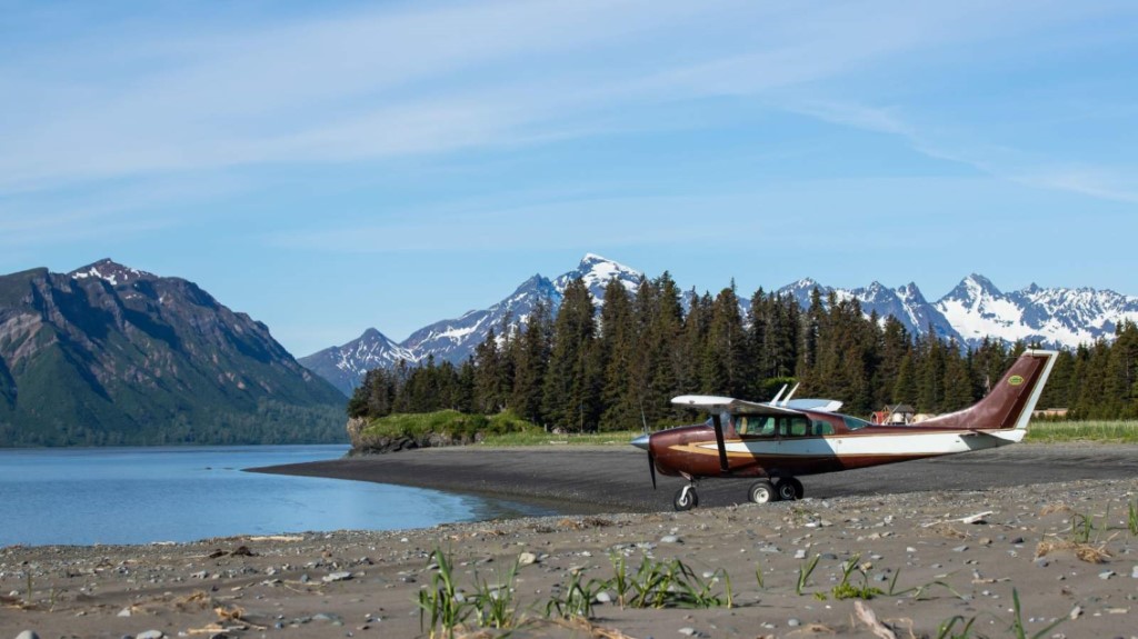 Bushplane