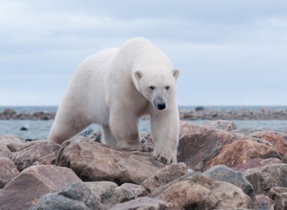 Hudson Bay