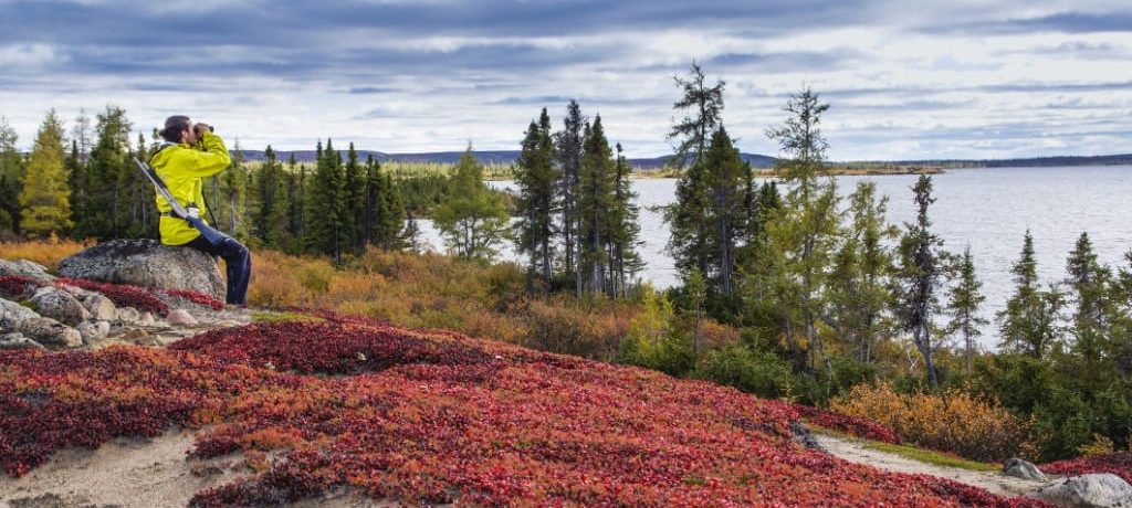 Courtesy of Churchill Wild, photocredit Huijin Kong Schmock Lake