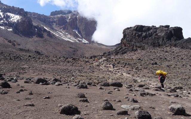 Lava Tower, Kilimanjaro beklimmen via
