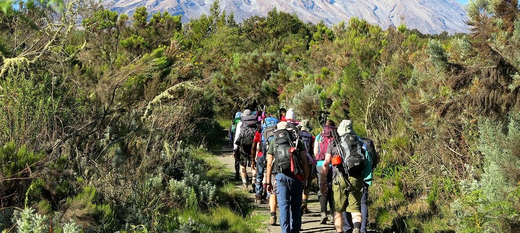 Regenwoud Kilimanjaro beklimmen via