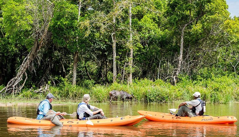 Odzala National Park