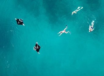 Snorkel cruise mantaroggen