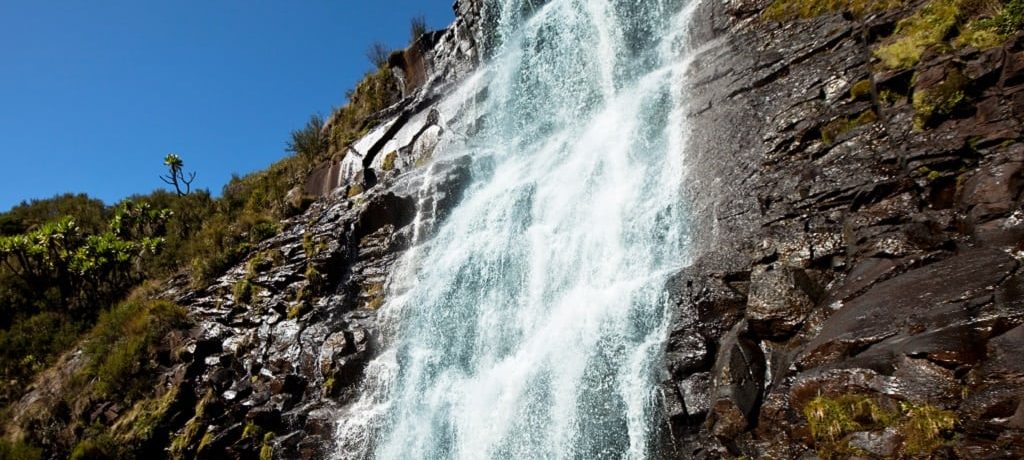 Aberdare National Park