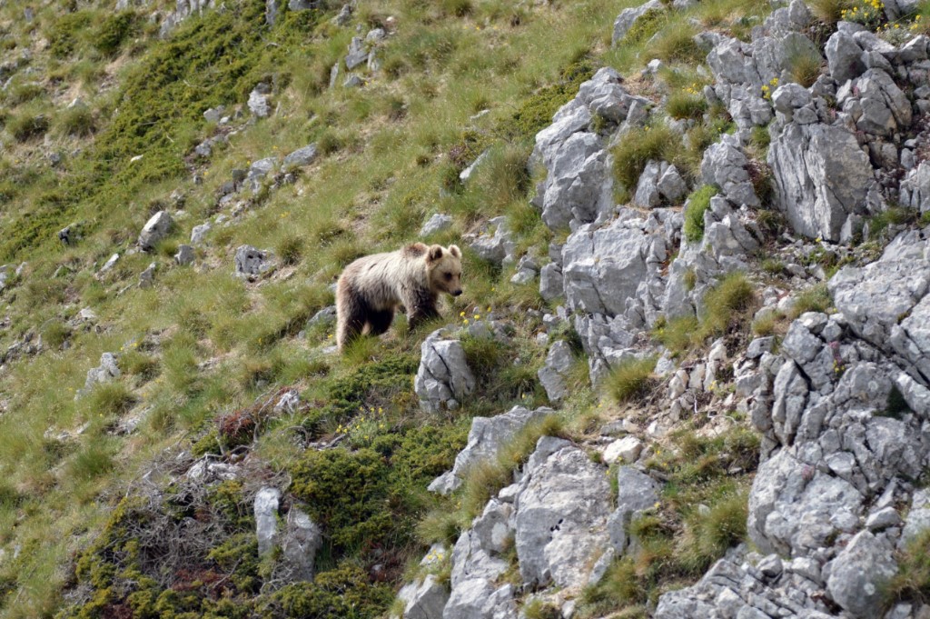 Abruzzen