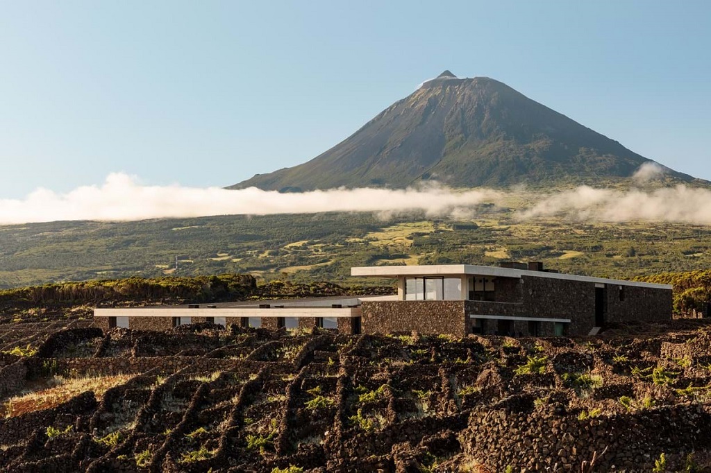 Adega Azores Wine Company