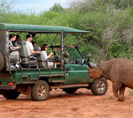 Game drive