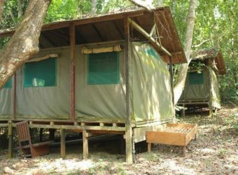 Akaka Forest Camp - Loango