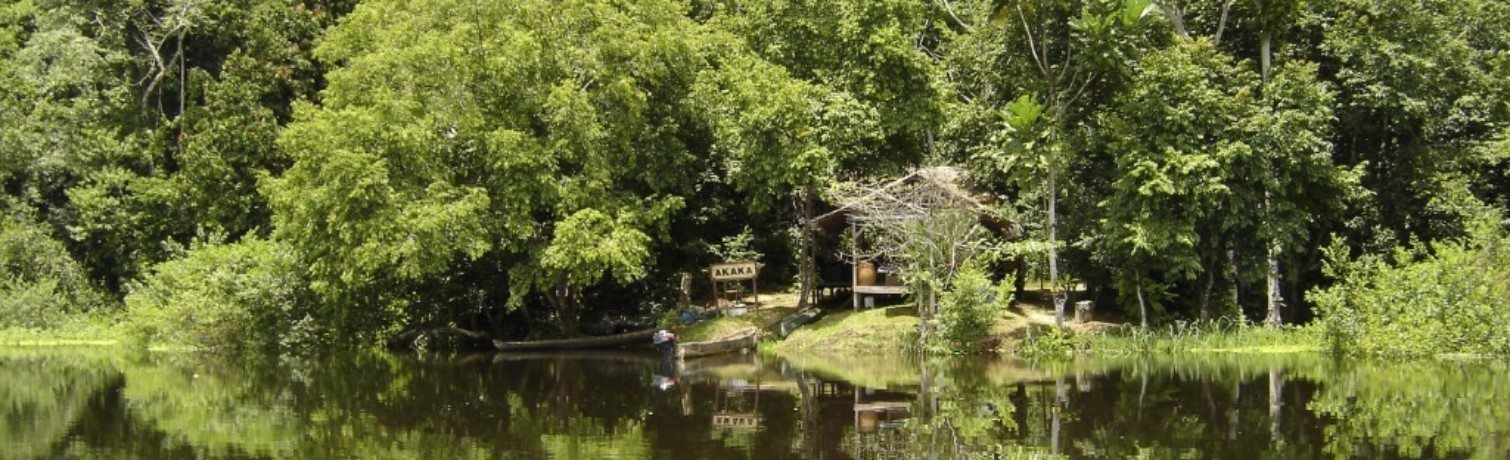 Akaka Forest Camp - Loango