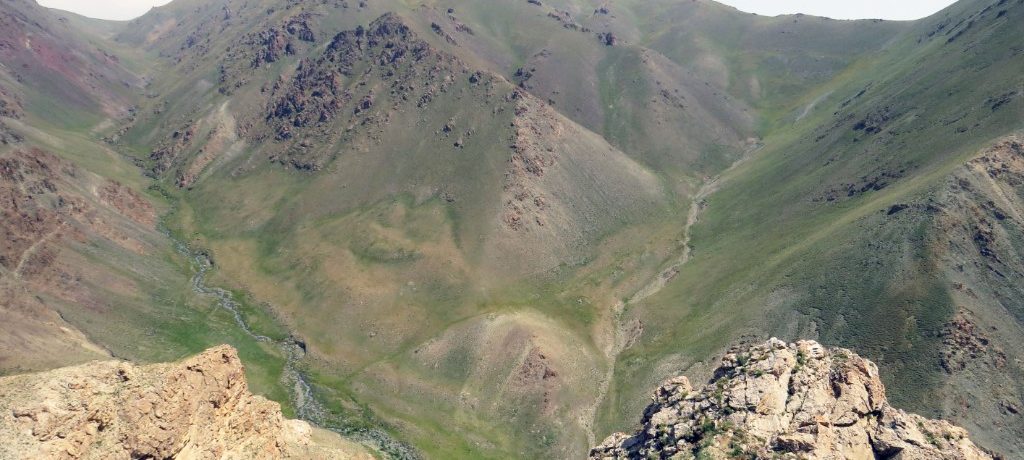 Mongolië Sneeuwluipaard en Pallas katten in de mountains