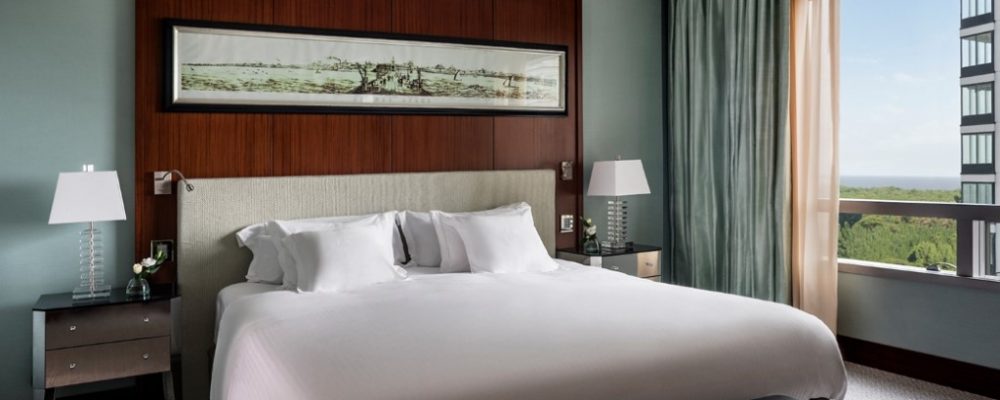 Alvear Icon Hotel