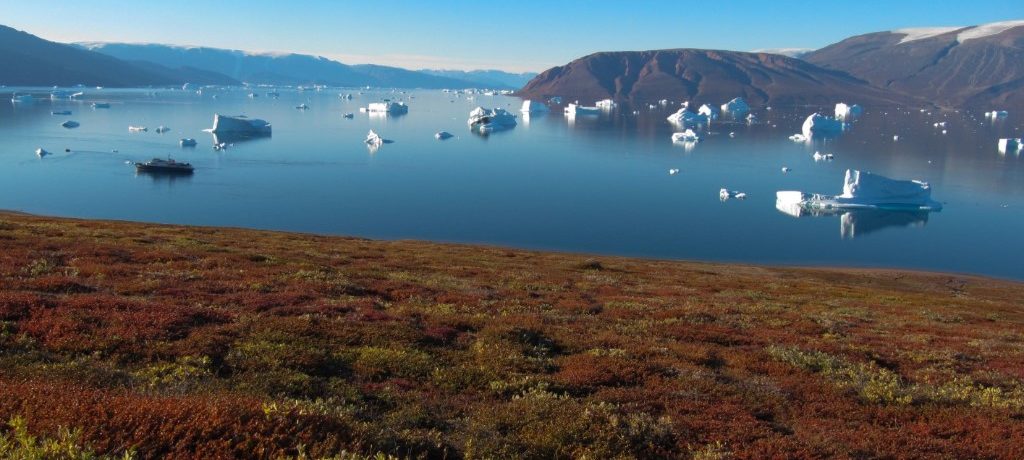 Amazing view to the fjord from the tundra_Erwin Vermeulen