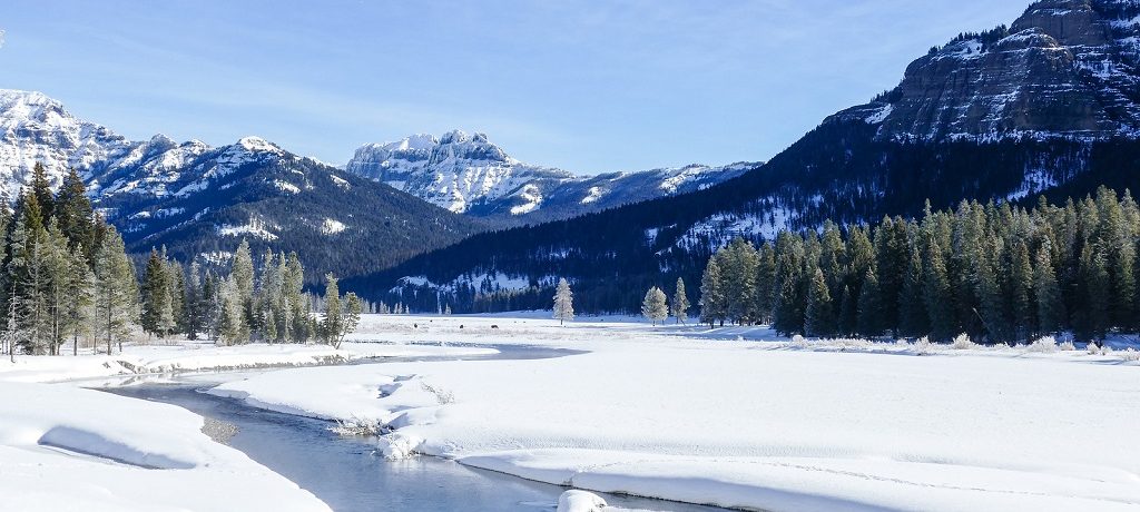 Amerika bezienswaardigheden, Lamar Valley