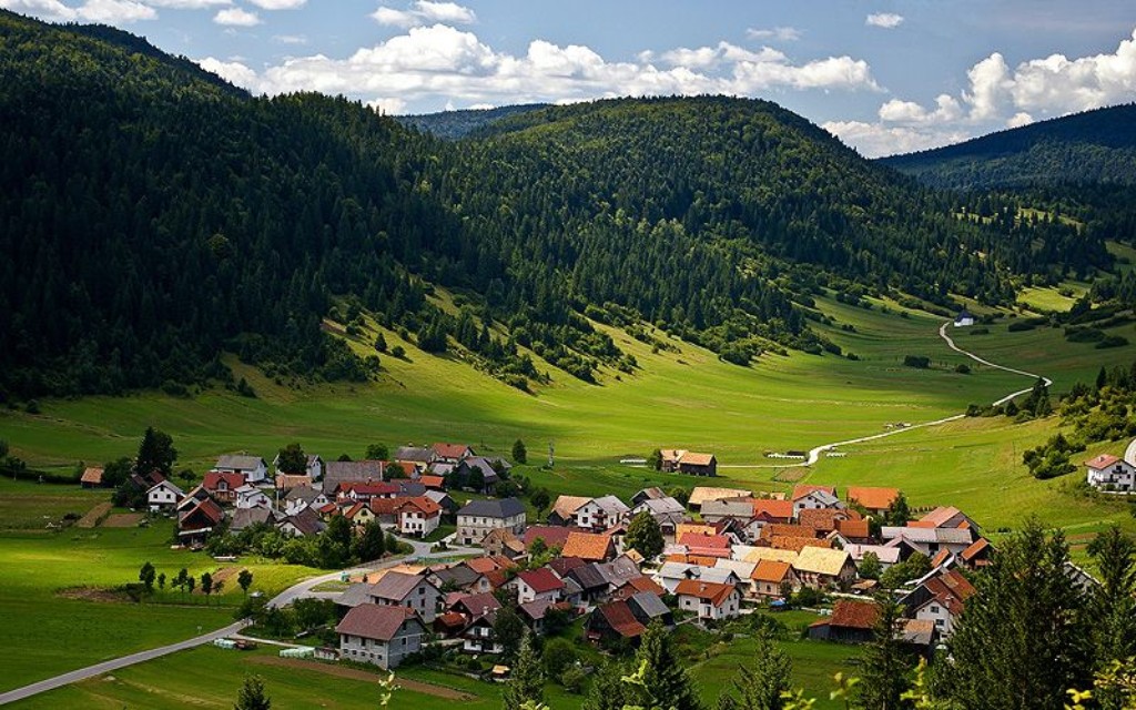 bossen van Loski Potok