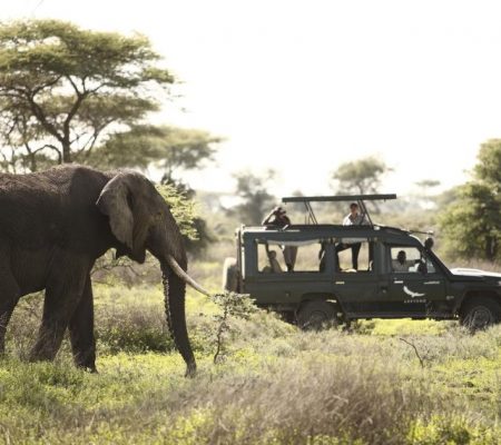 AndBeyond Game Drive