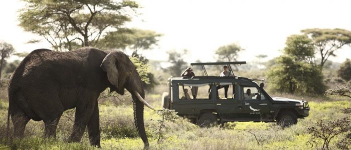 AndBeyond Game Drive