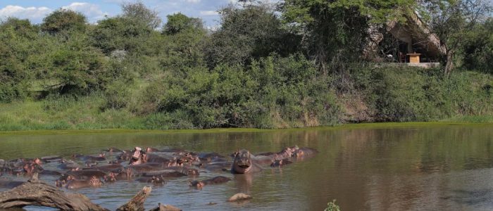 AndBeyond Grumeti rivier