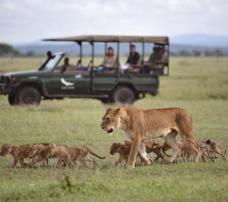 AndBeyond Game Drive