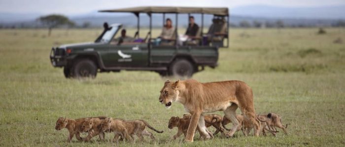 AndBeyond Game Drive