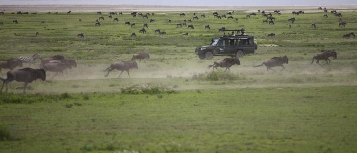 AndBeyond Game drive