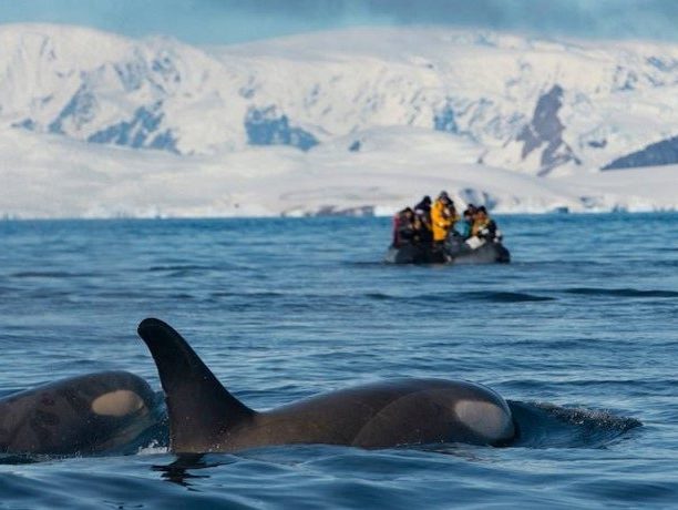 Fly cruise Antarctica
