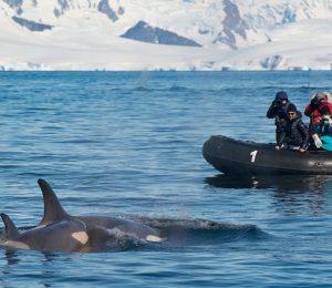 Fly cruise Antarctica