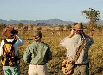 Wandelsafari