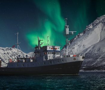 Noorderlicht cruise, Orka en noorderlicht in Trømso