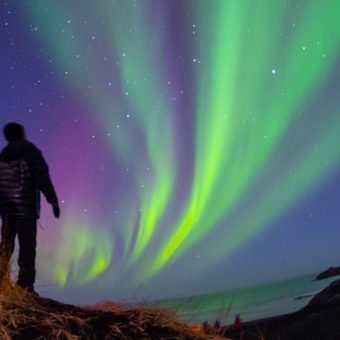 Activity @ Arctic Panorama Lodge, Noors Lapland, Noorwegen