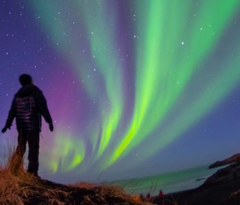 Activity @ Arctic Panorama Lodge, Noors Lapland, Noorwegen