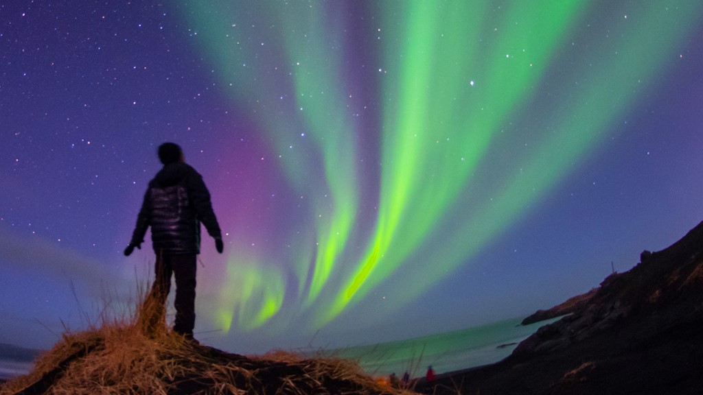 Activity @ Arctic Panorama Lodge, Noors Lapland, Noorwegen