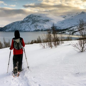 Arctic Panorama Lodge