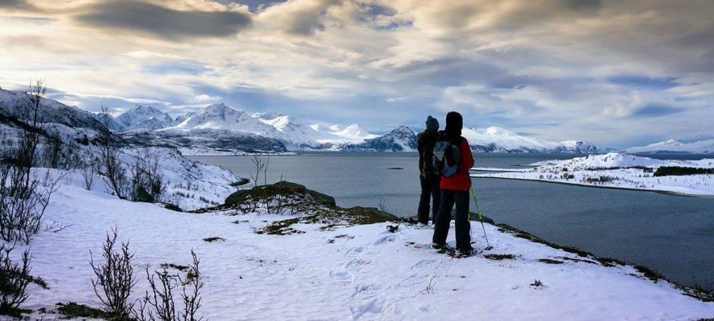 Arctic Panorama Lodge