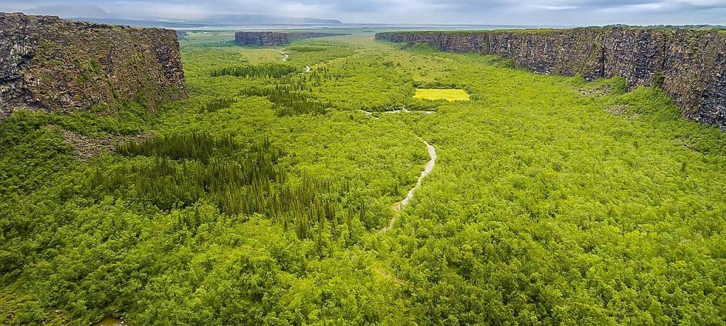 Asbyrgri Canyon, Jökulsárgljúfur Park, Noord-IJsland