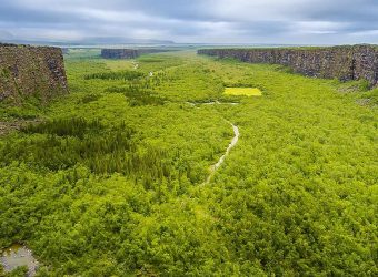 Asbyrgri Canyon, Jökulsárgljúfur Park, Noord-IJsland