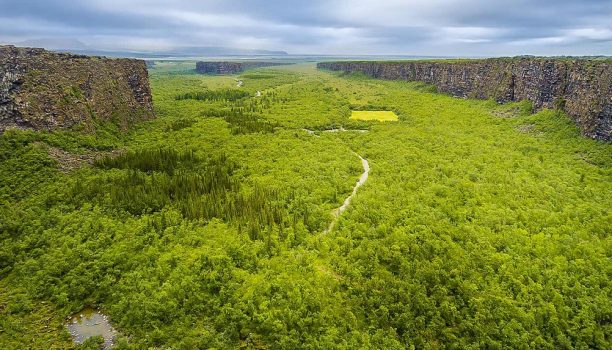 Asbyrgri Canyon, Jökulsárgljúfur Park, Noord-IJsland