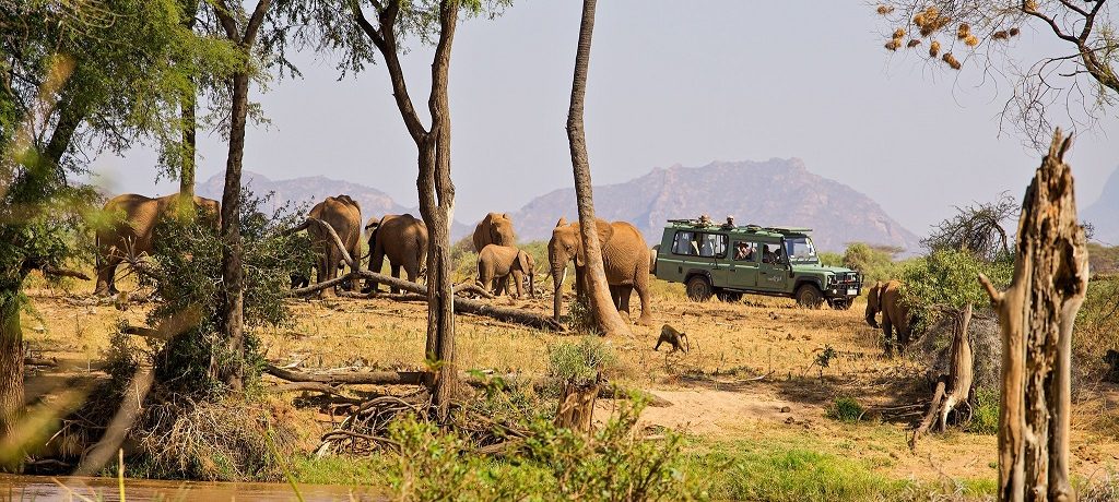 Big five rondreis Kenia