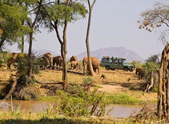 Big five rondreis Kenia