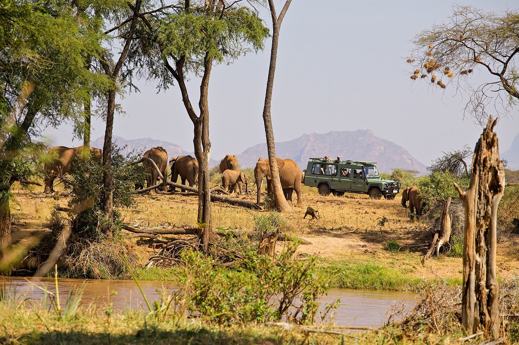 Big five rondreis Kenia