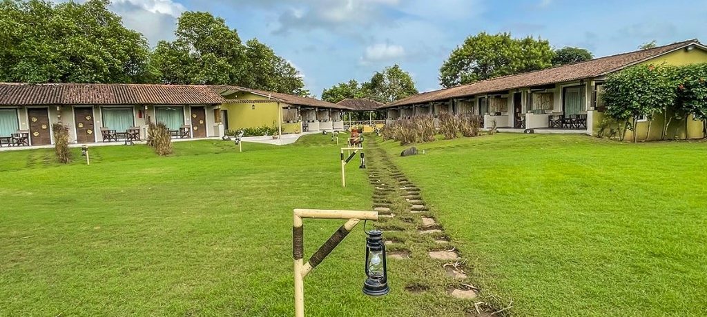 Asiatic Lion Lodge