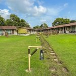 Asiatic Lion Lodge