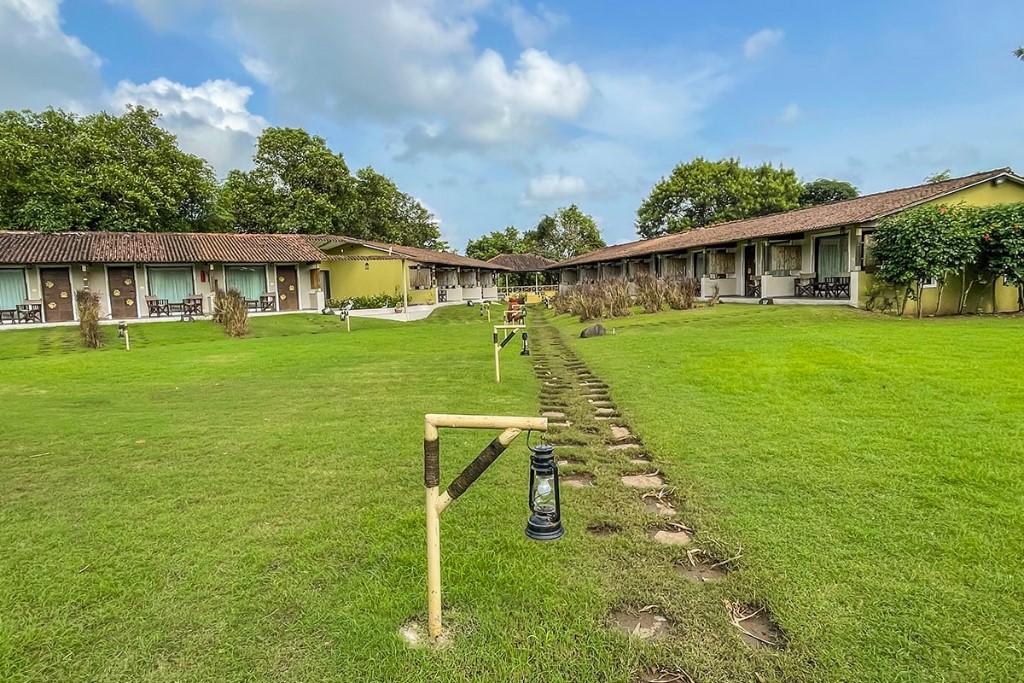 Asiatic Lion Lodge