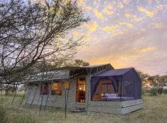 Asilia Olakira safari tent