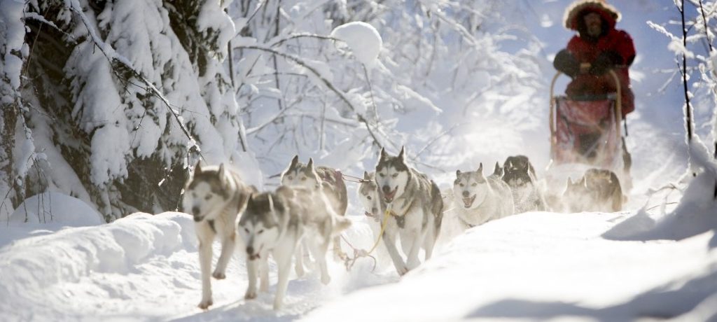 Aurora Safari Camp, Zweeds Lapland, Zweden