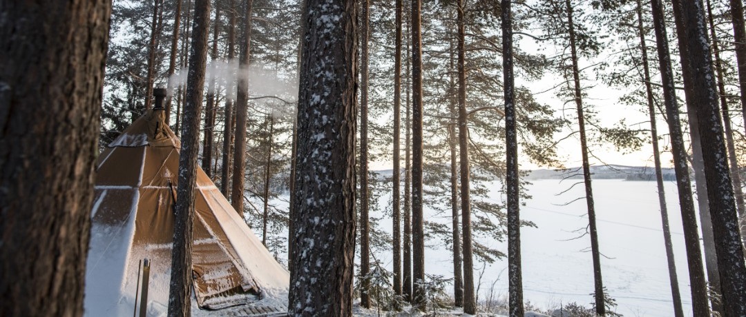 Aurora Safari Camp, Zweeds Lapland, Zweden