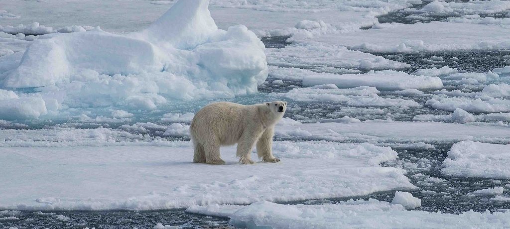 Pond Inlet