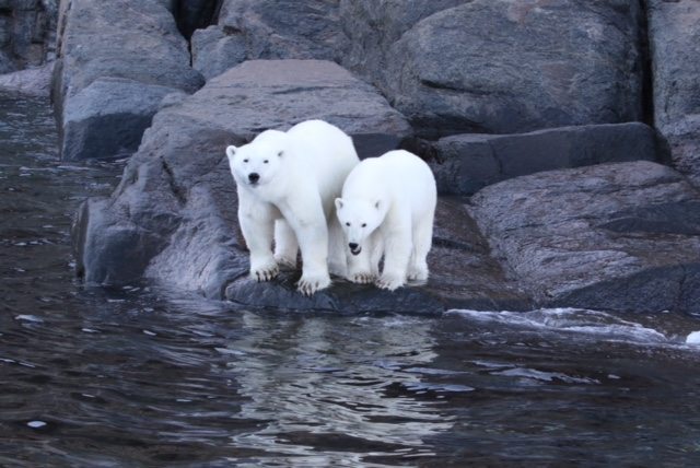 Baffin Island