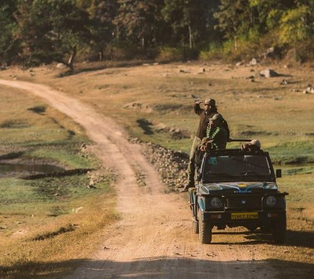 Game drive
