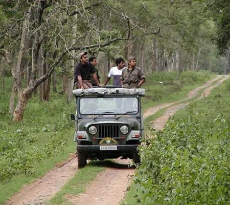 Game drive